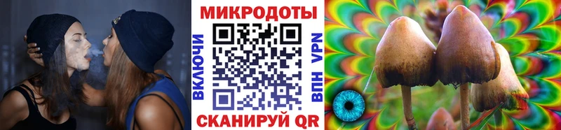где купить наркотик  Мценск  Галлюциногенные грибы прущие грибы 